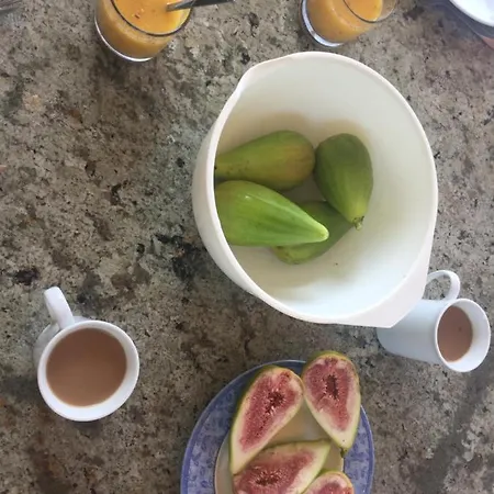 Vale Lunga * Пула