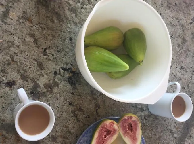 Vale Lunga * Πούλα